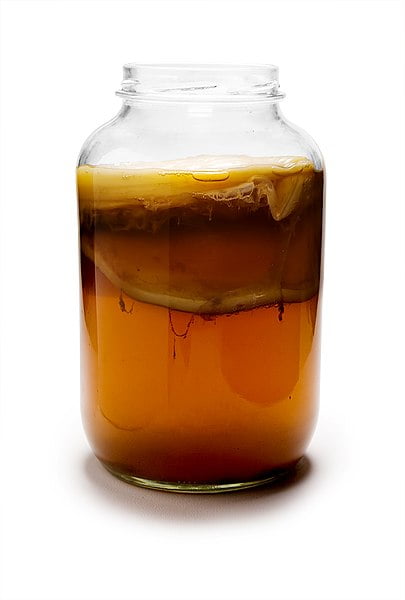 10 živil za zdravo črevesje 5 405px Kombucha Mature