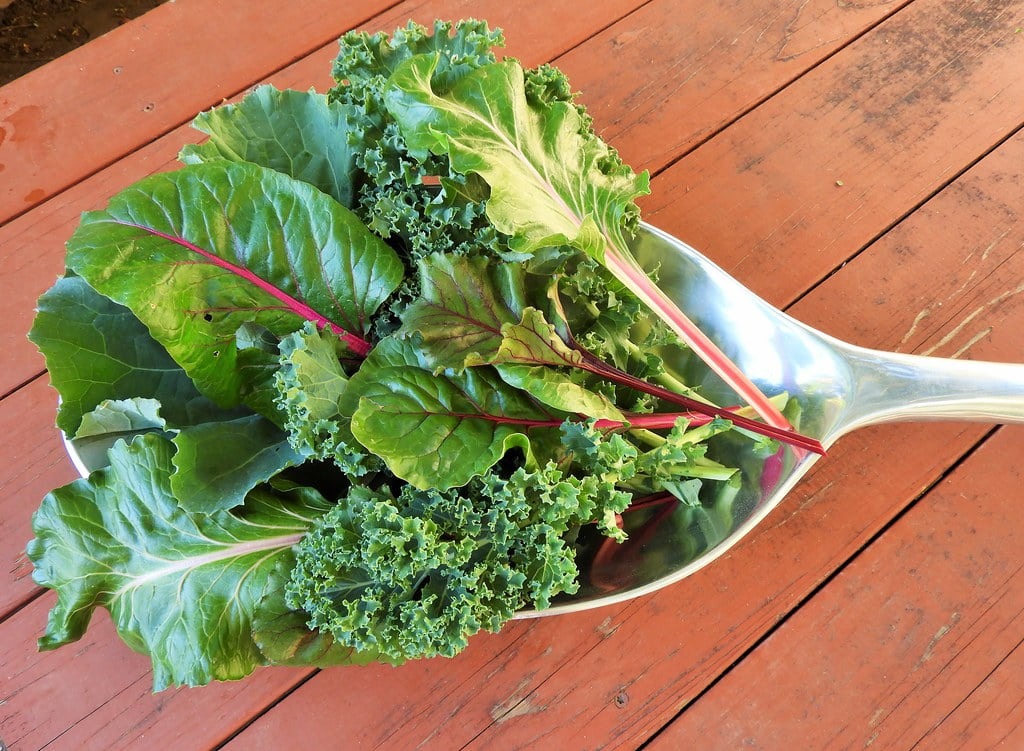 10 živil za zdravo črevesje 6 leafy greens