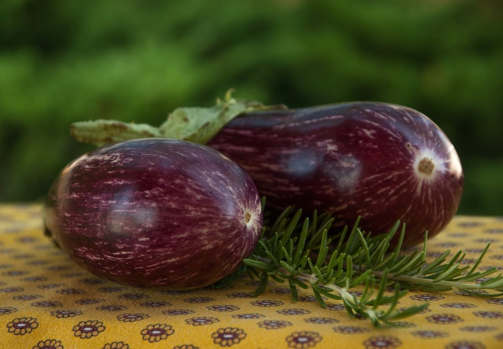 Jajčevci 3 eggplant 3590866 1280
